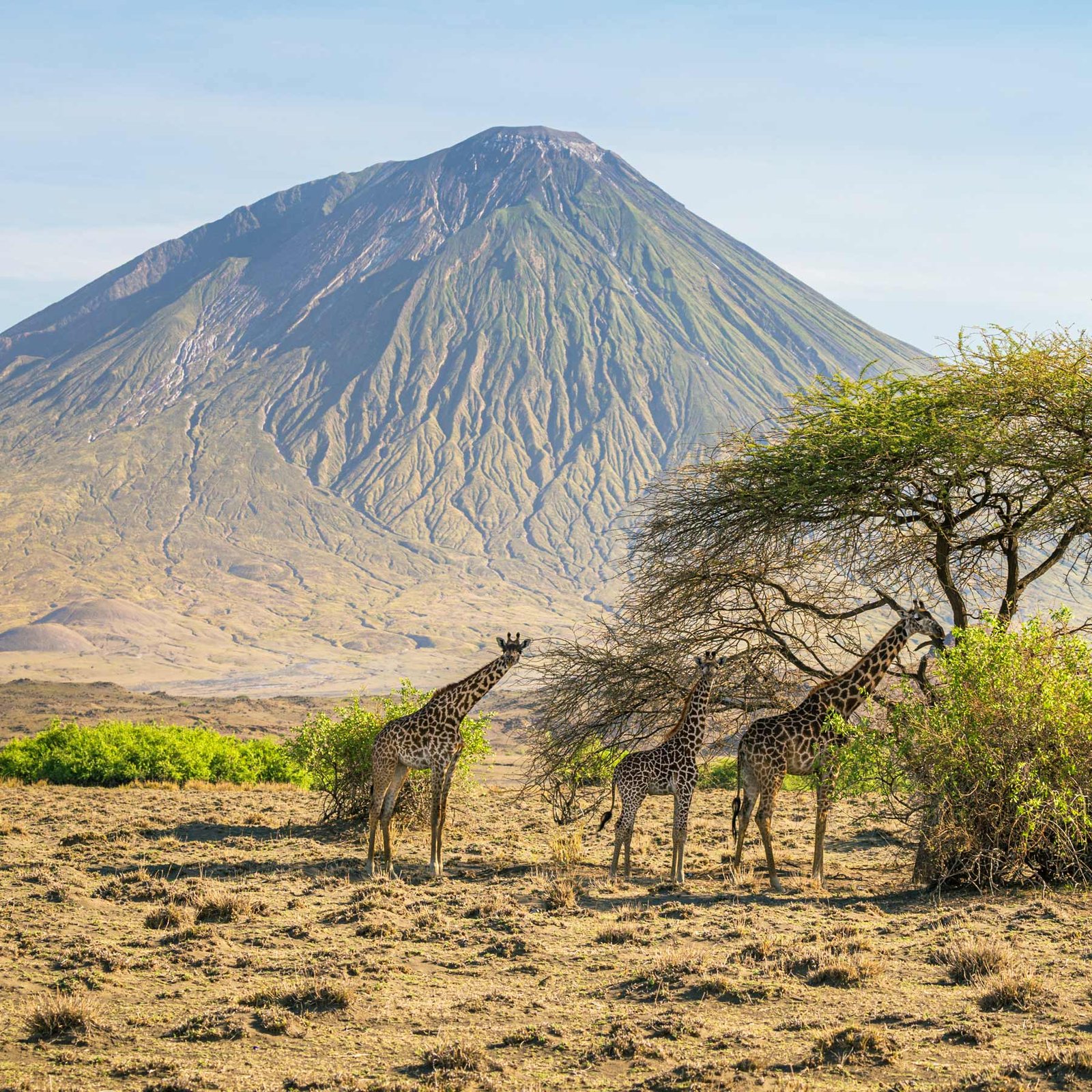 Vos envies voyages : La Tanzanie et le Kenya : entre safaris et plages idylliques