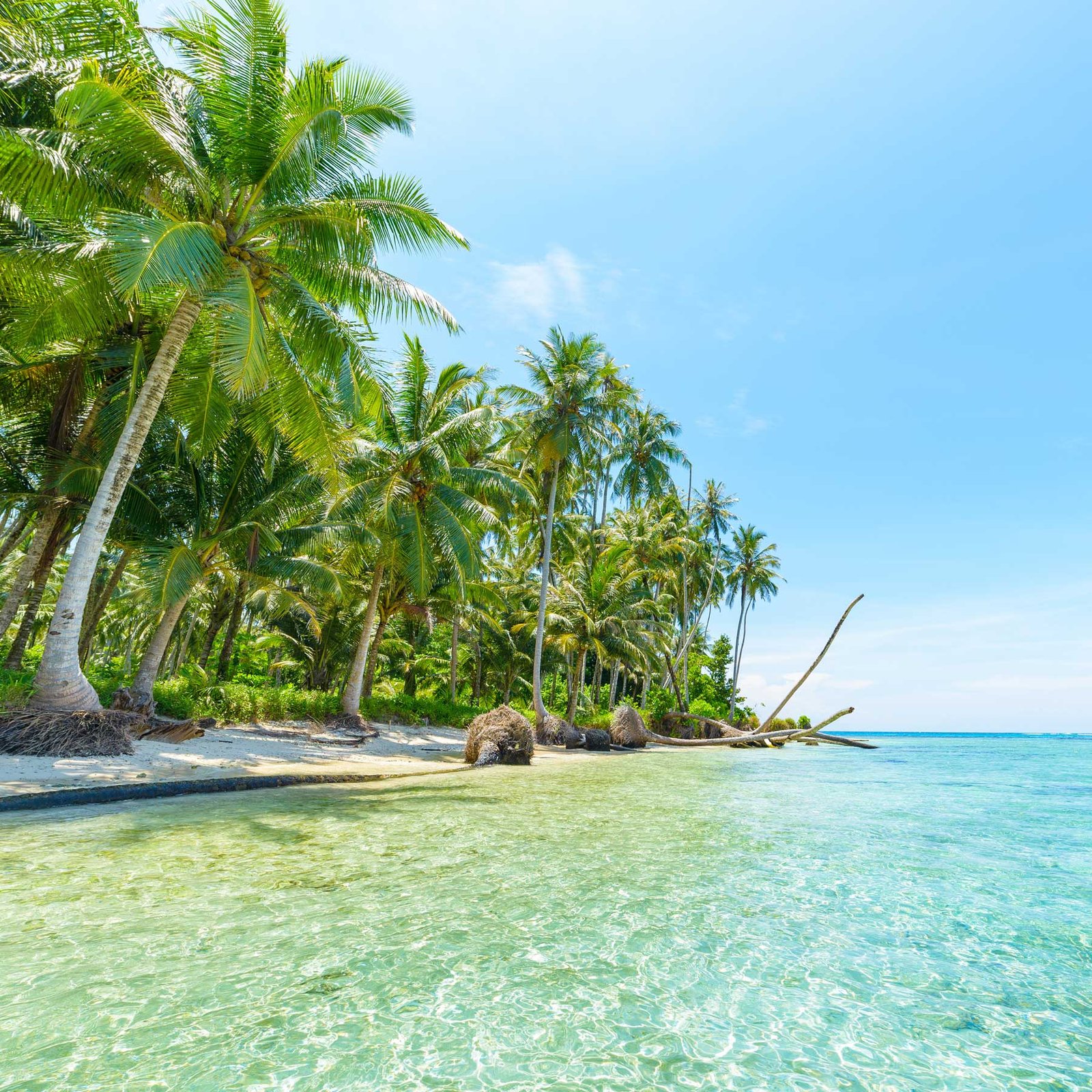 Vos Envies Voyages : Madagascar, La Réunion, les Seychelles : les îles du rêve