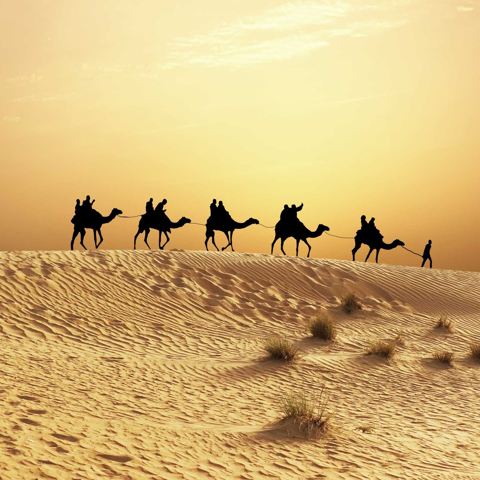 Vos envies voyages : Le Maroc : un voyage entre traditions et déserts