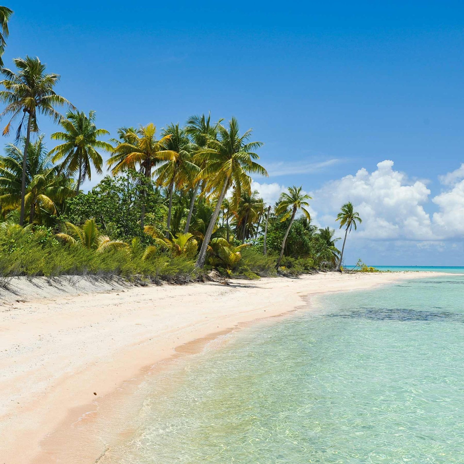 Vos Envies Voyages - La Polynésie : le paradis des îles