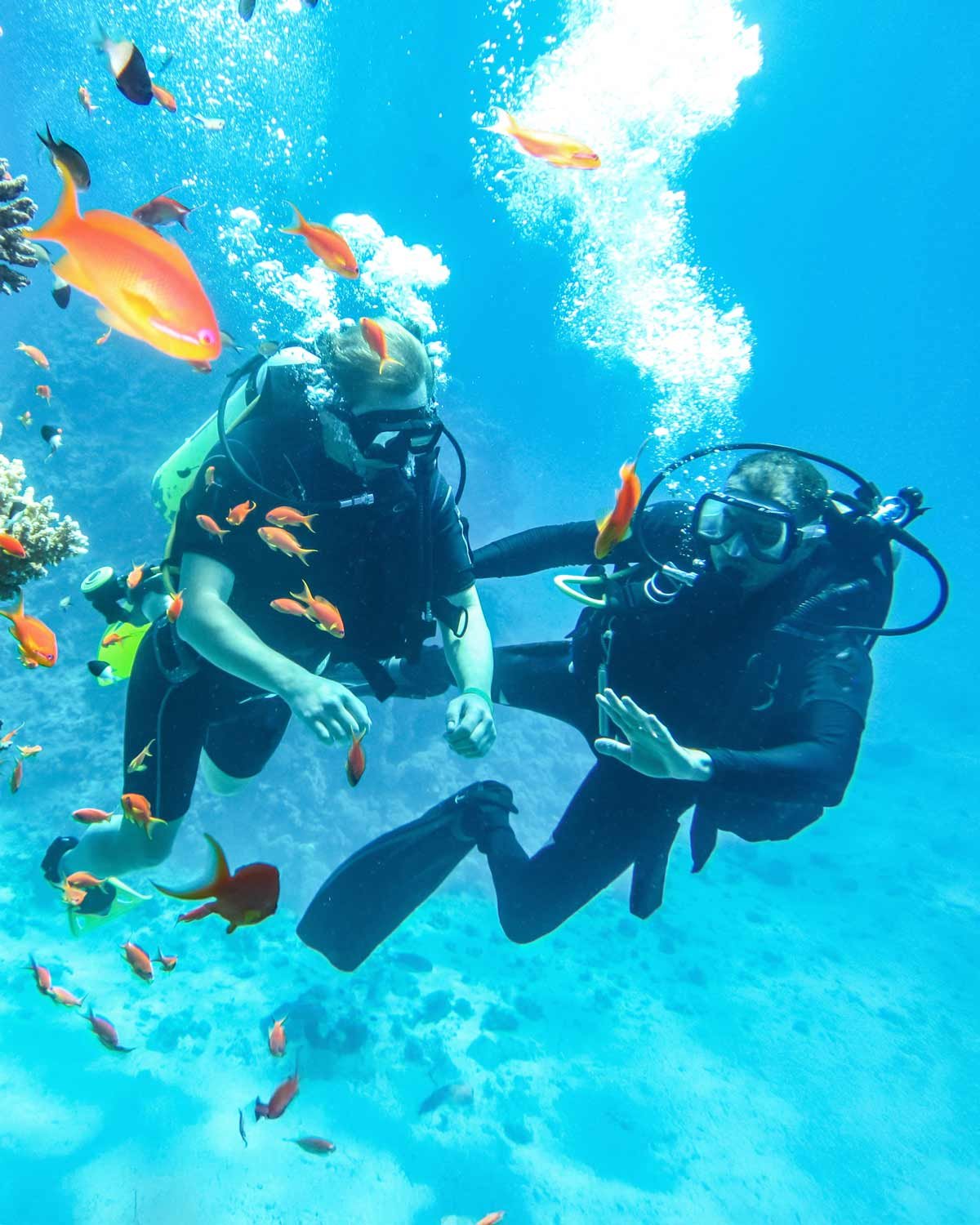 Vos Envies Voyages - Des destinations idéales pour voyager en groupe : Une plongée sous les tropiques