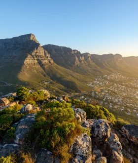 L'Afrique du Sud : un safari dans les parcs nationaux