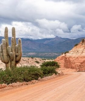 Vos Envies Voyages : L’Argentine : tango, glaciers et vins