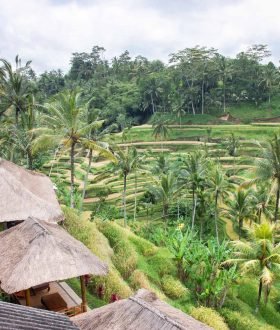 Vos Envies Voyages : Bali : l'île des dieux et du bien-être