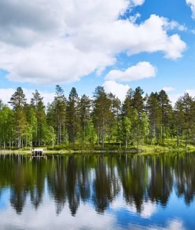 Vos Envies Voyages - L’Europe du Nord : nature, aventure et traditions