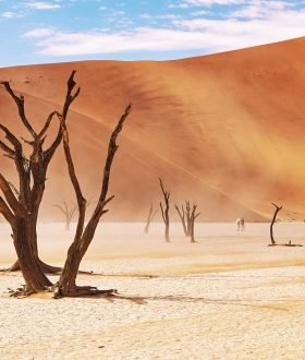Vos Envies Voyages : La Namibie : des paysages désertiques spectaculaires