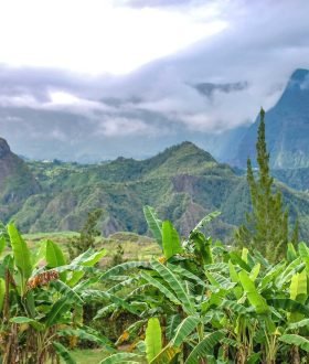 Vos Envies Voyages : Madagascar, La Réunion, les Seychelles : les îles du rêve