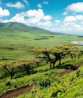 Vos envies voyages : La Tanzanie et le Kenya : entre safaris et plages idylliques