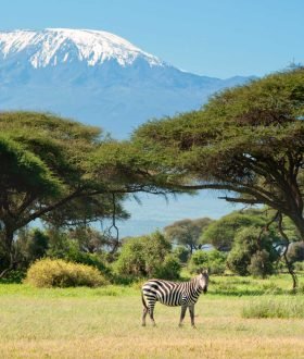 Vos envies voyages : La Tanzanie et le Kenya : entre safaris et plages idylliques