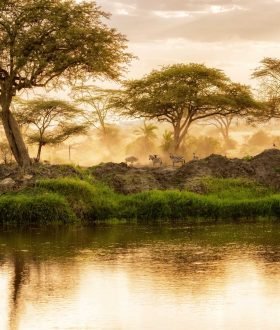 Vos envies voyages : La Tanzanie et le Kenya : entre safaris et plages idylliques