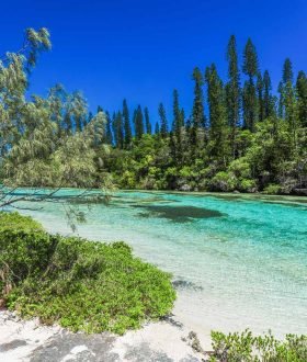 Vos Envies Voyages - La Nouvelle-Calédonie : une nature préservée et authentique