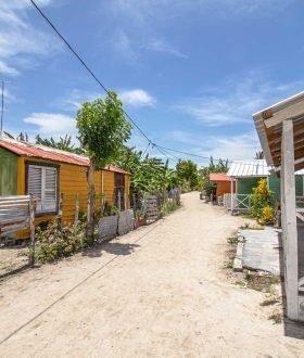 Vos Envies Voyages - La République Dominicaine : le cœur vibrant des Caraïbes
