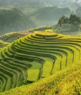 Vos Envies Voyages : Le Vietnam : entre tradition et modernité