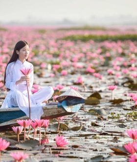 Vos Envies Voyages : Le Vietnam : entre tradition et modernité